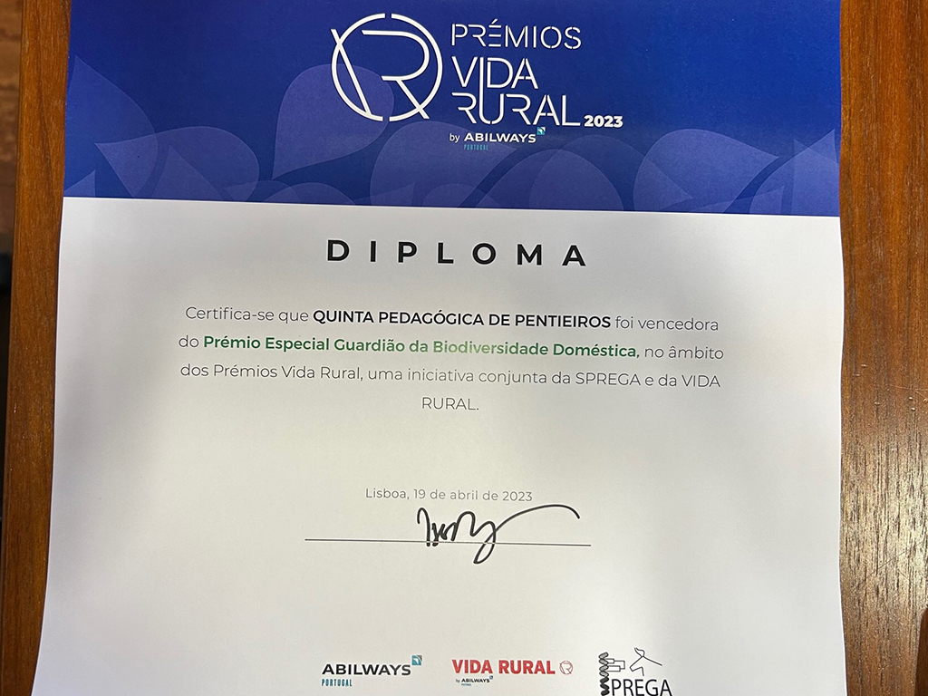 A Quinta Pedagógica de Pentieiros resultou da recuperação, valorização e dinamização turístico/pedagógica da área de produção da Quinta de Pentieiros, exploração agropecuária adquirida pelo Município de Ponte de Lima.