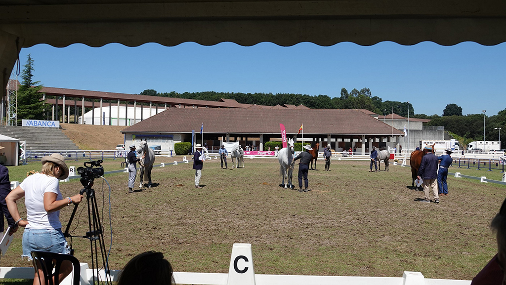 Vista participantes en Equina Galicia 2022. ARQUIVO.