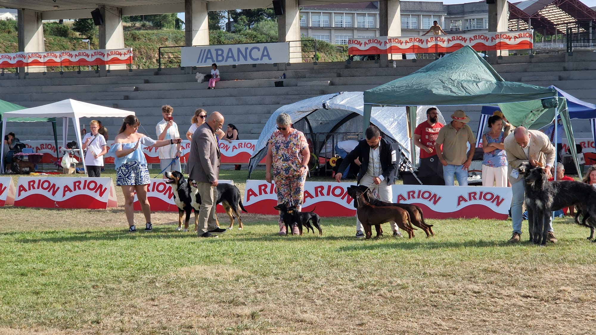 Participante na 105ª Exposición Nacional Canina Feira Internacional de Galicia ABANCA