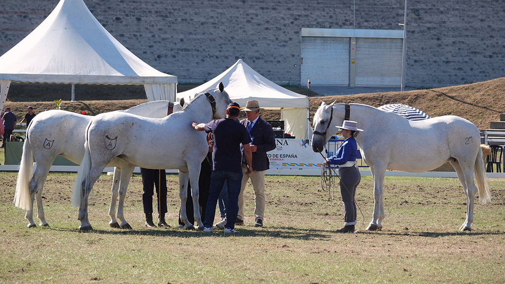 Participantes en Equina 2022. ARQUIVO.