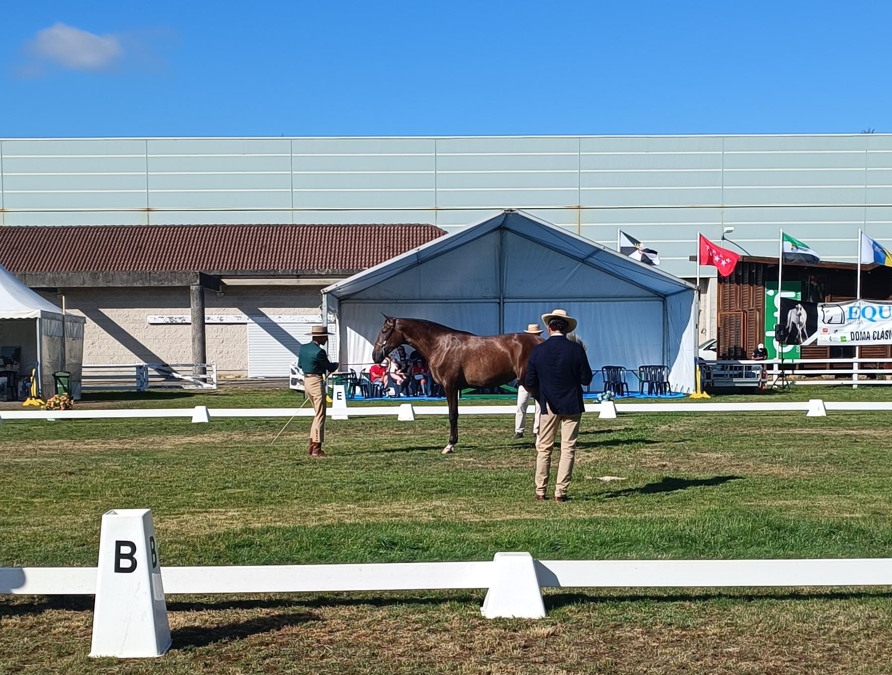 Sección poldras de 2 anos esta tarde en Equina Galicia 2024 -1