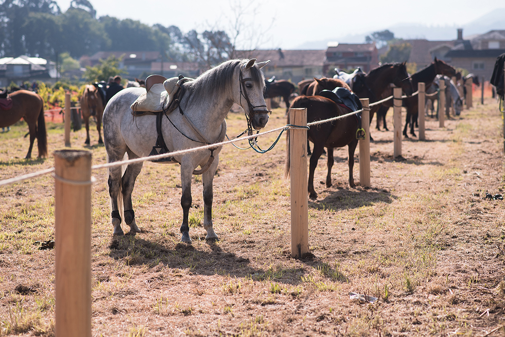 22082024 Feira Cabalar