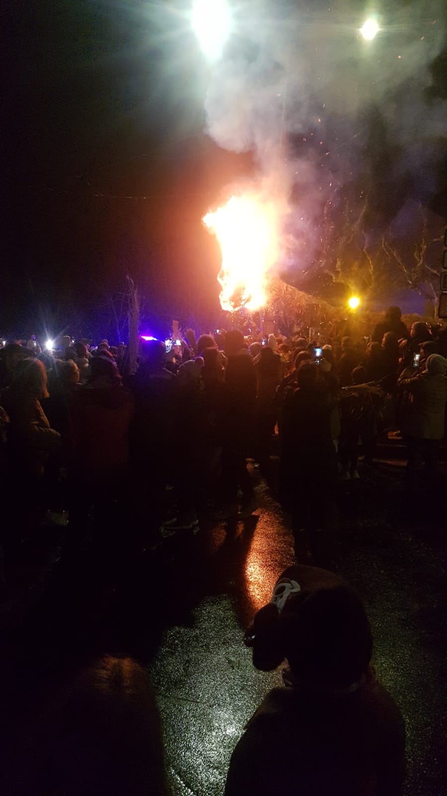 Imagen de WhatsApp 2025-01-20 a las 19.56.57_ccdc6087