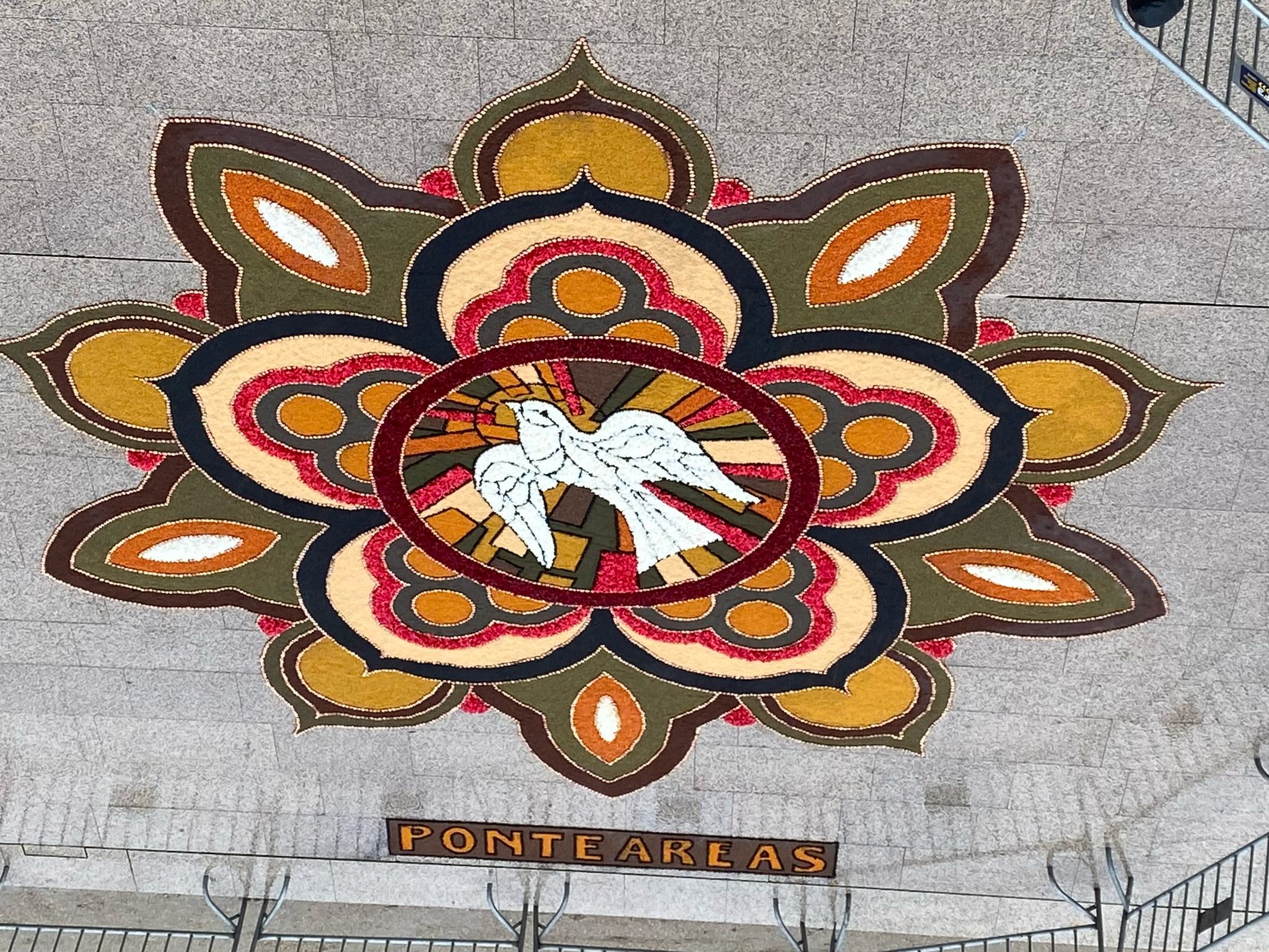 Imagen de WhatsApp 2025-04-20 a las 11.12.05_fdc24433