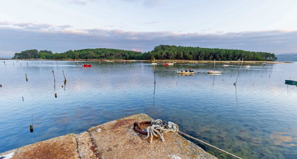 La isla de Cortegada, separada por apenas 200 metros de la costa de O Carril (Vilagarcía de Arousa).