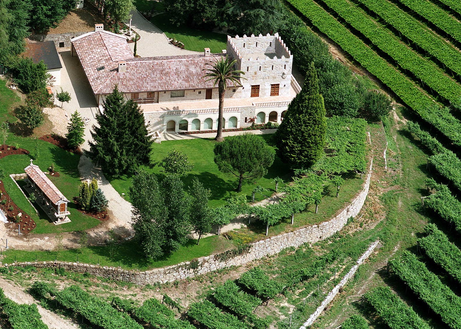 Donde la uva albariño acaricia el sol gallego: un paseo entre las vides de Fillaboa, origen de vinos excepcionales.