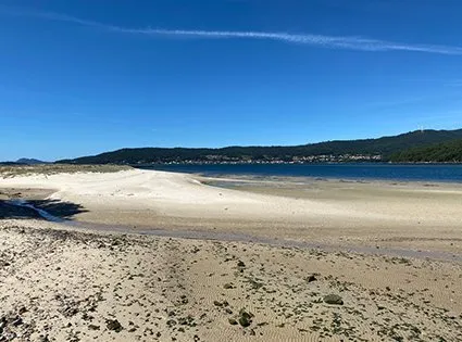 Testal: una media luna de arena dorada enmarcada por colinas de pinos y eucaliptos, ofreciendo vistas panorámicas de la ría desde su mirador.