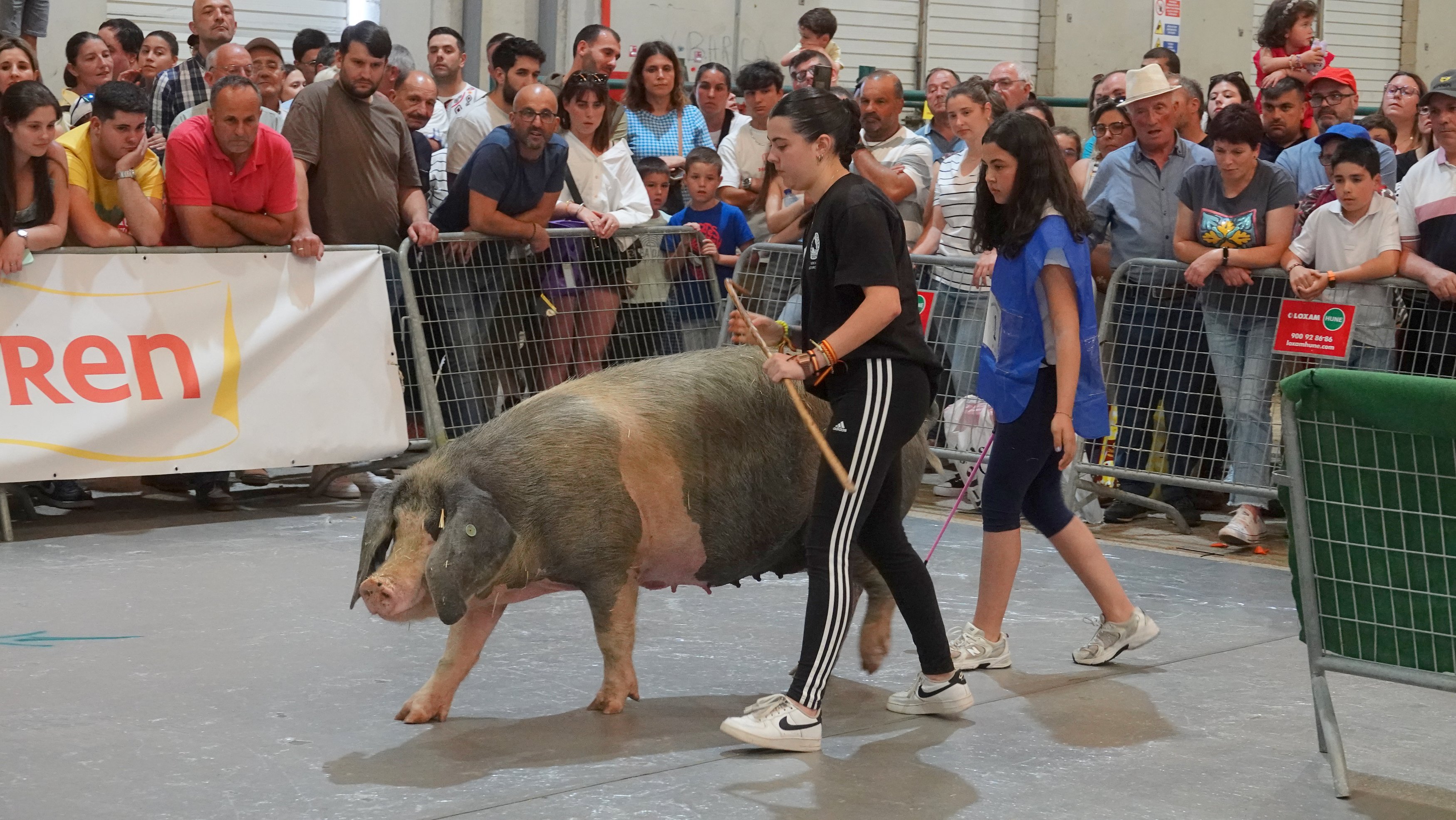 Gañadora do Concurso de manexo porcino en Semana VerdeDSC06909