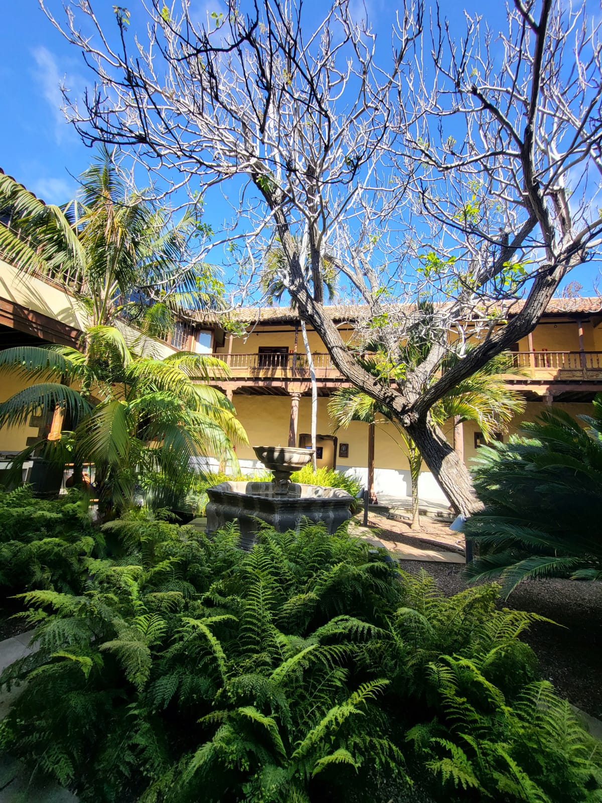 Oficina de Turismo de La Laguna