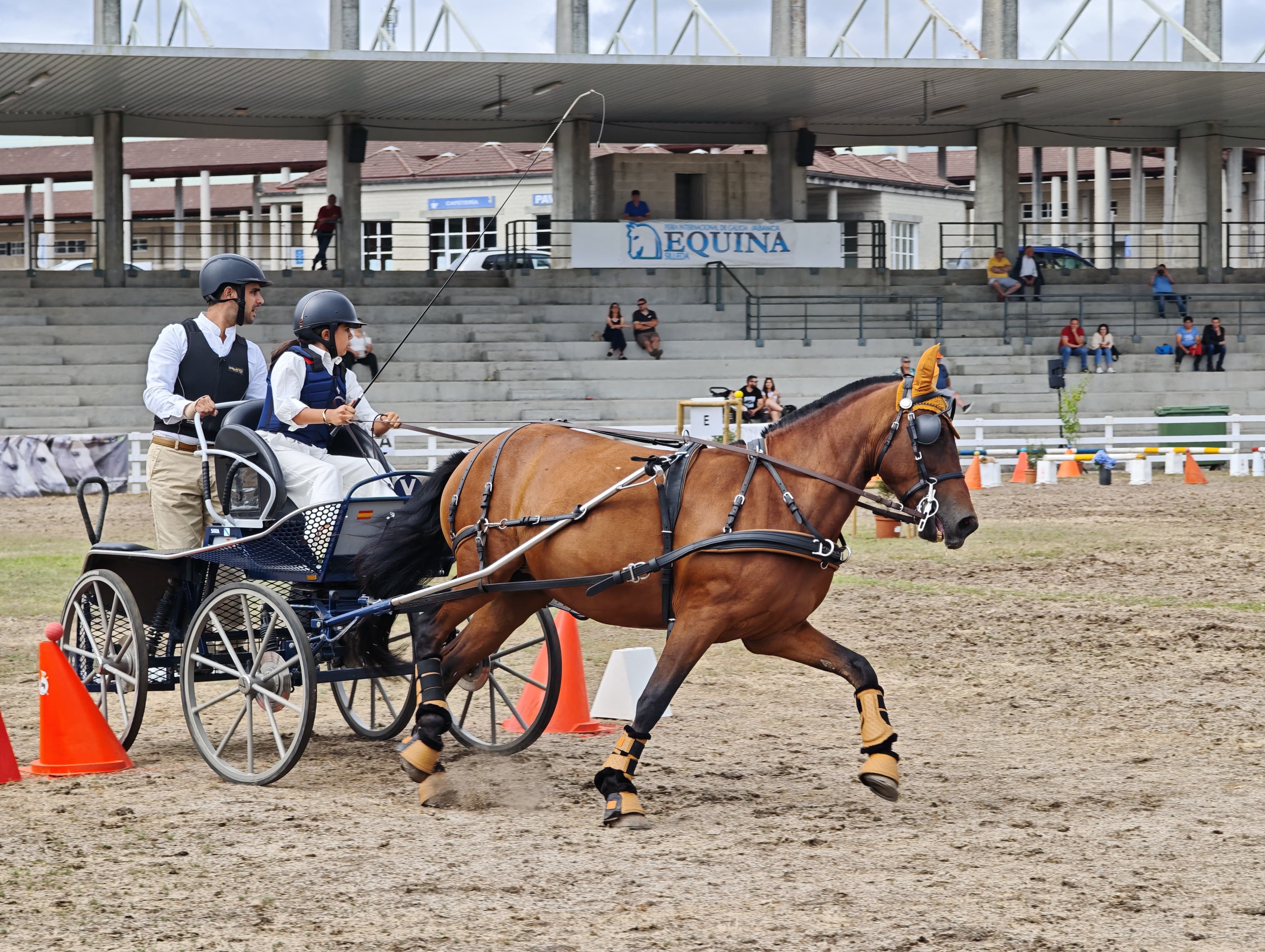 Participantes proba de enganches hoxe en Equina Galicia 2025 -1