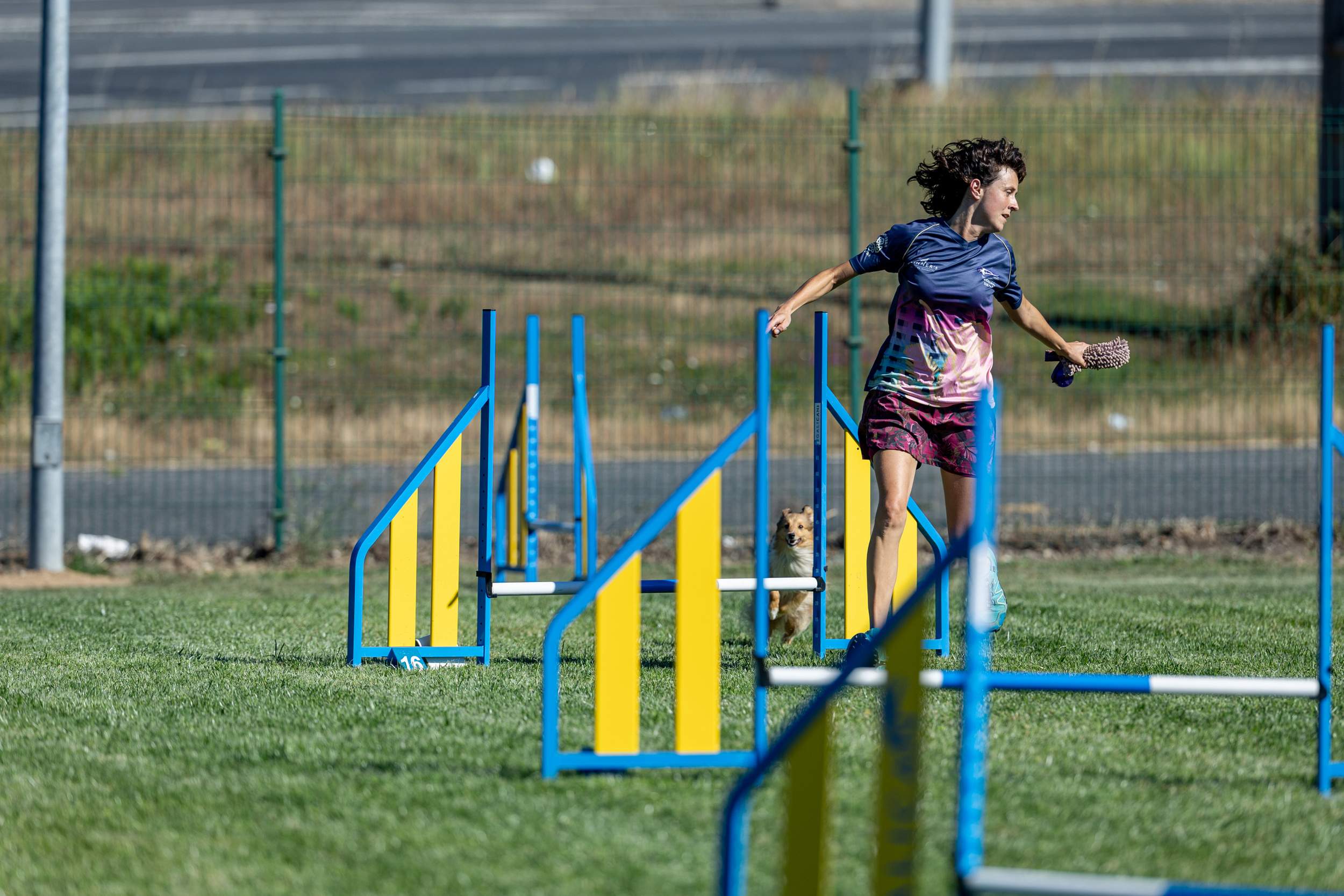 Seminario celebrado esta tarde como pevia da Galican Agility Cup.
