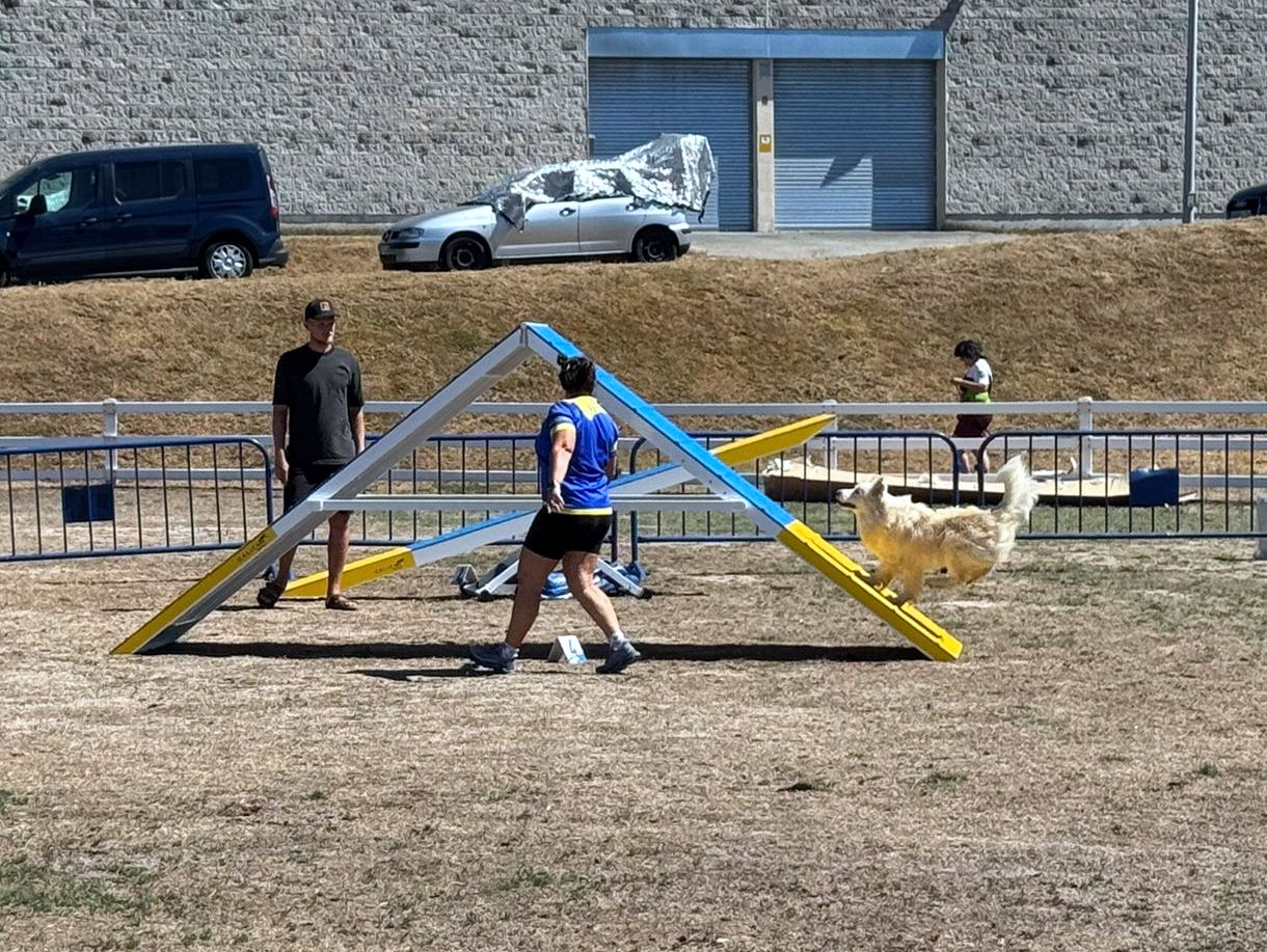 Participantes nas probas da Galican Agility Cup -2