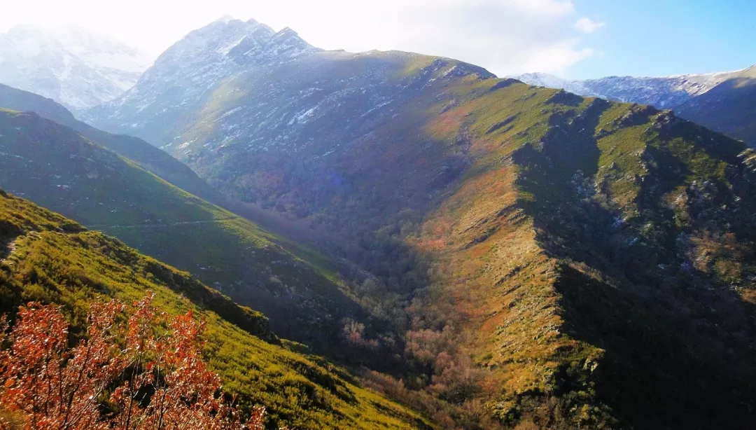 el-teixadal-de-casaio-FyIgx3