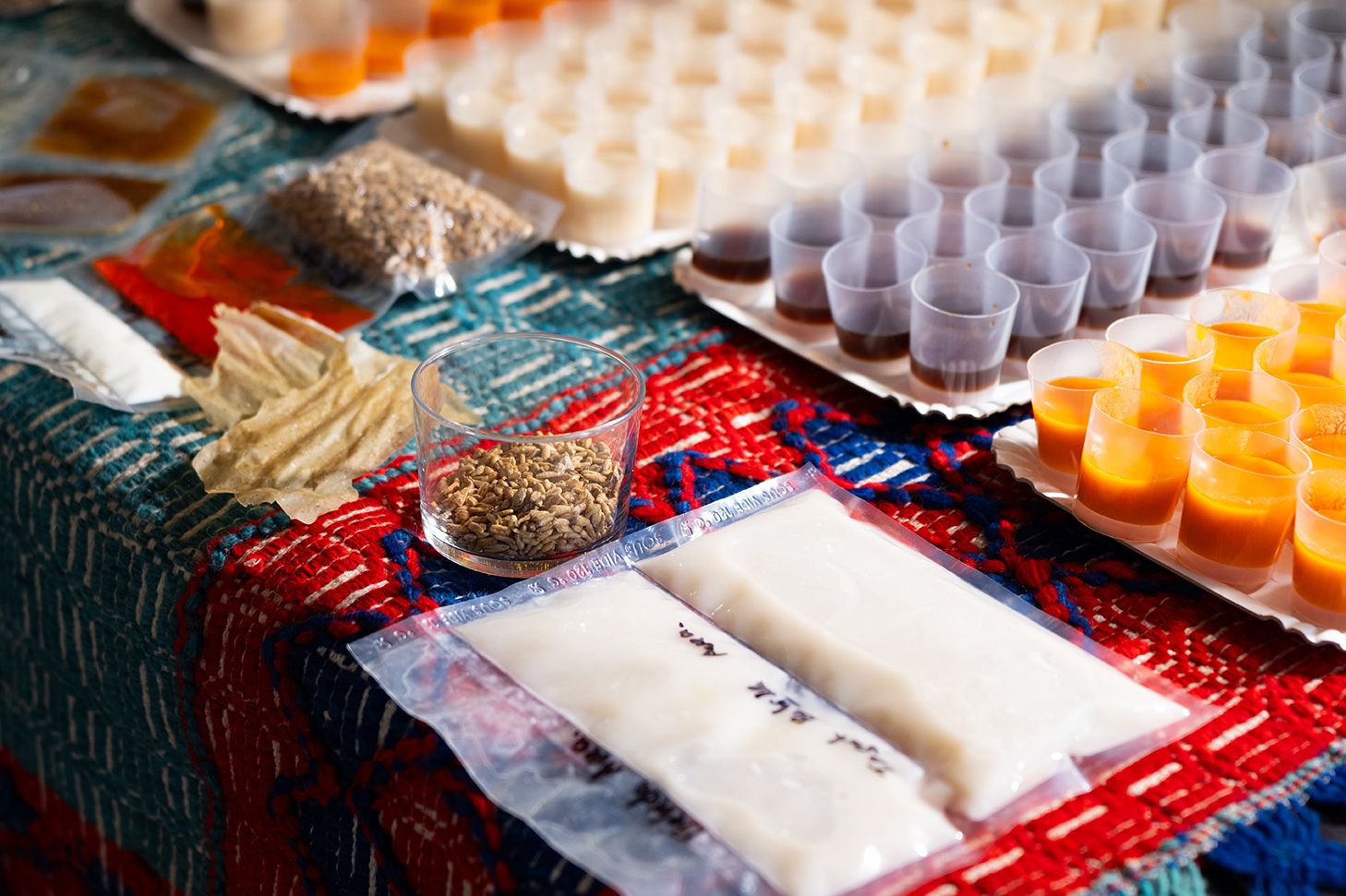 Muestras de Avena strigosa, el cereal milenario cuyas propiedades están siendo redescubiertas para la alimentación y la cosmética.