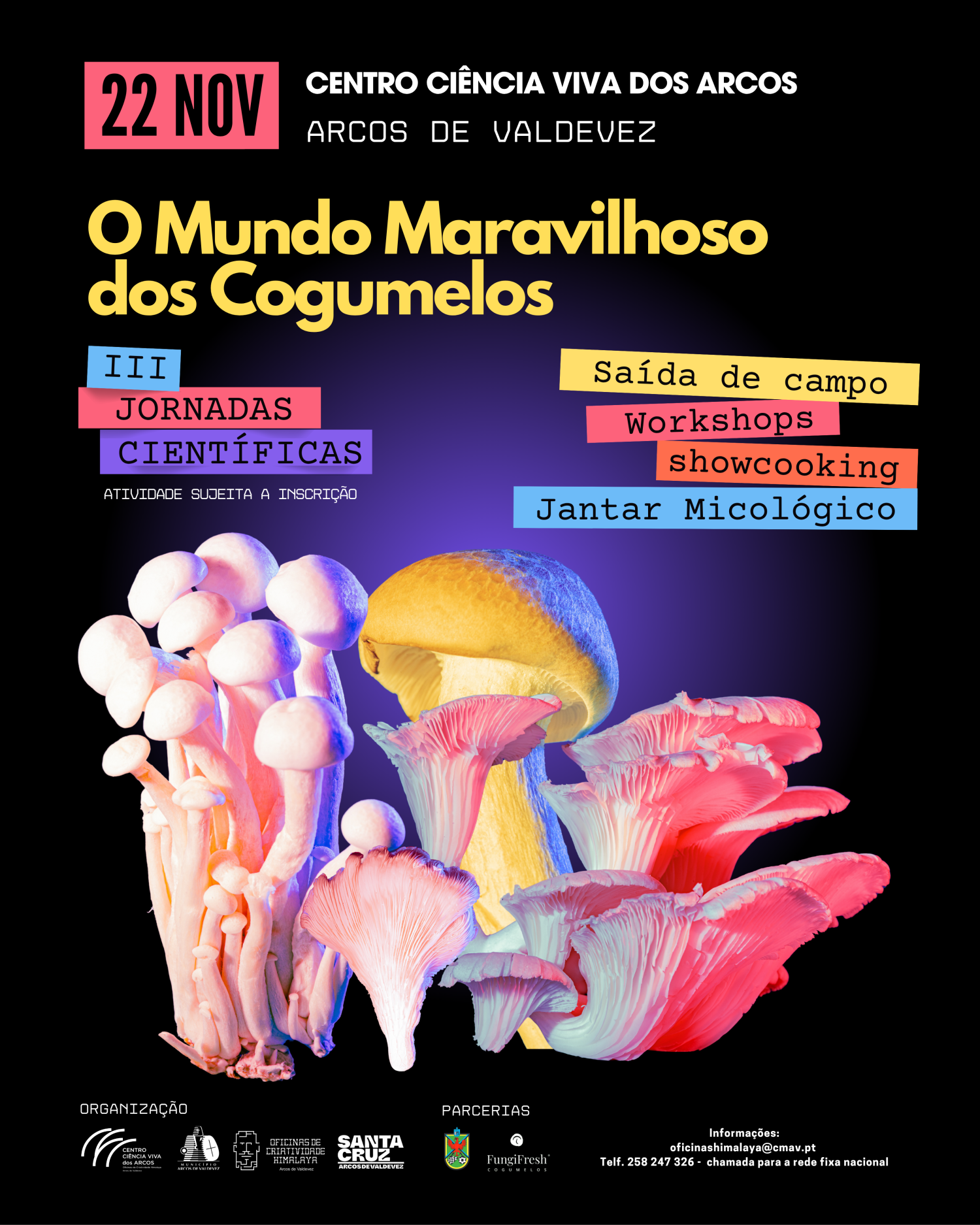 Instagram-III O Mundo Maravilhoso dos Cogumelos 1 - Cópia