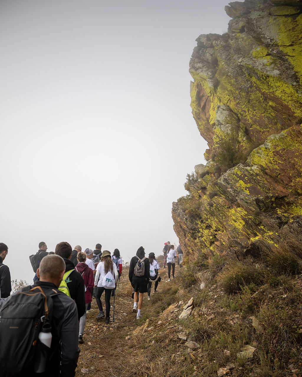 Jovens participantes desfrutam de um dos variados Percursos Pedestres do Tua Walking Festival, explorando a riqueza natural e a paisagem do Parque Natural Regional do Vale do Tua.