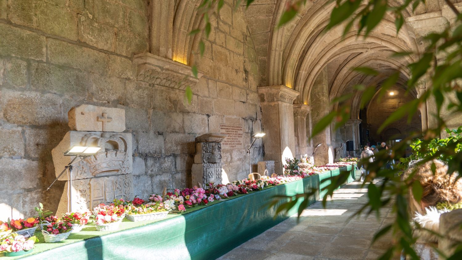 Vista xeral do claustro da Catedral de Tui durante a XI Mostra da Camelia, con máis de 120 metros de exposición floral no marco do 800 aniversario da consagración do templo.
