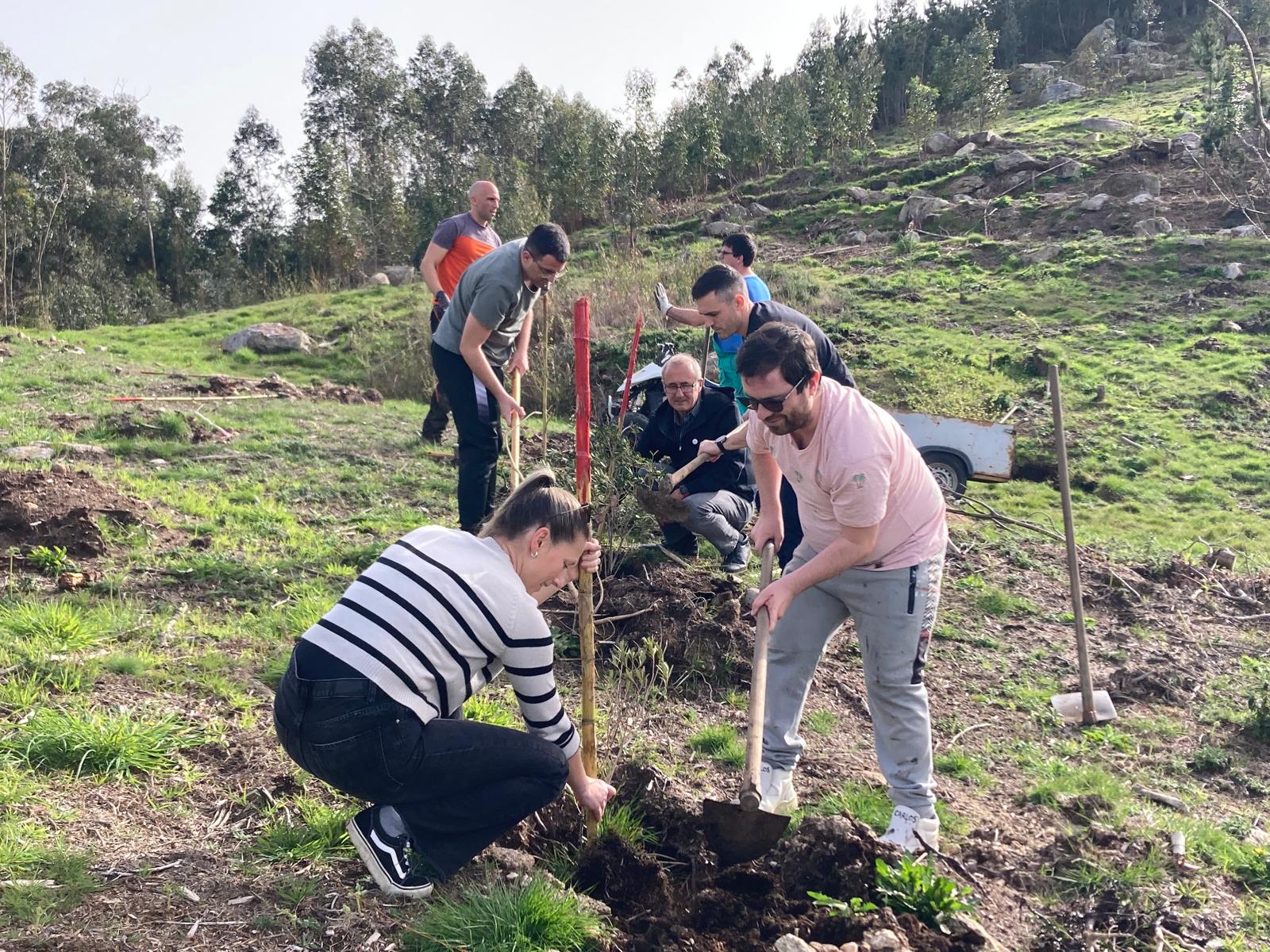 Usuarios do CEE Juan María participan na plantación de oliveiras no futuro parque forestal Os Matos–Río Táboas, en Camos, dentro das xornadas comunitarias de reforestación promovidas polo Concello de Nigrán.