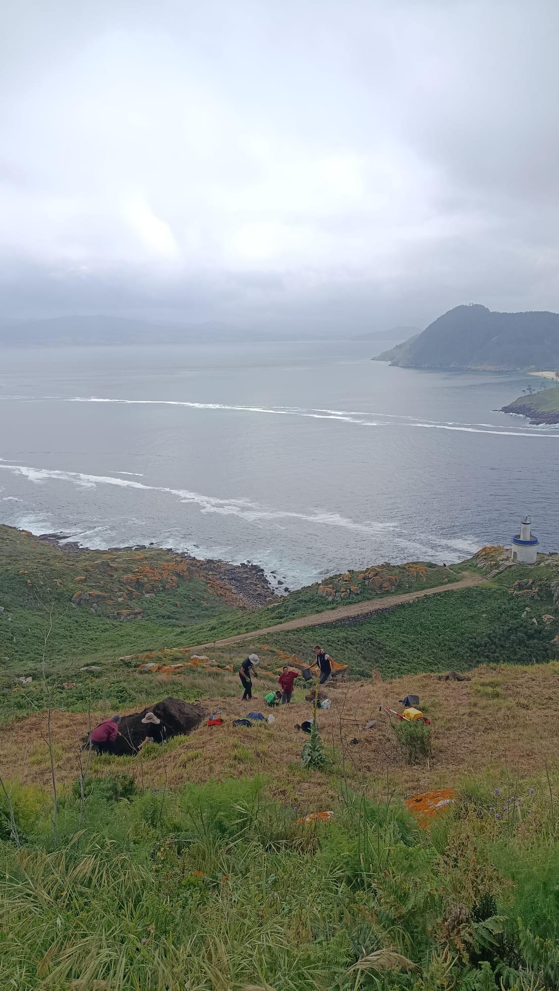 Vista general de los trabajos arqueológicos desarrollados en el castro das Hortas, en las islas Cíes, durante la segunda campaña impulsada por la Universidade de Vigo y la Xunta de Galicia.