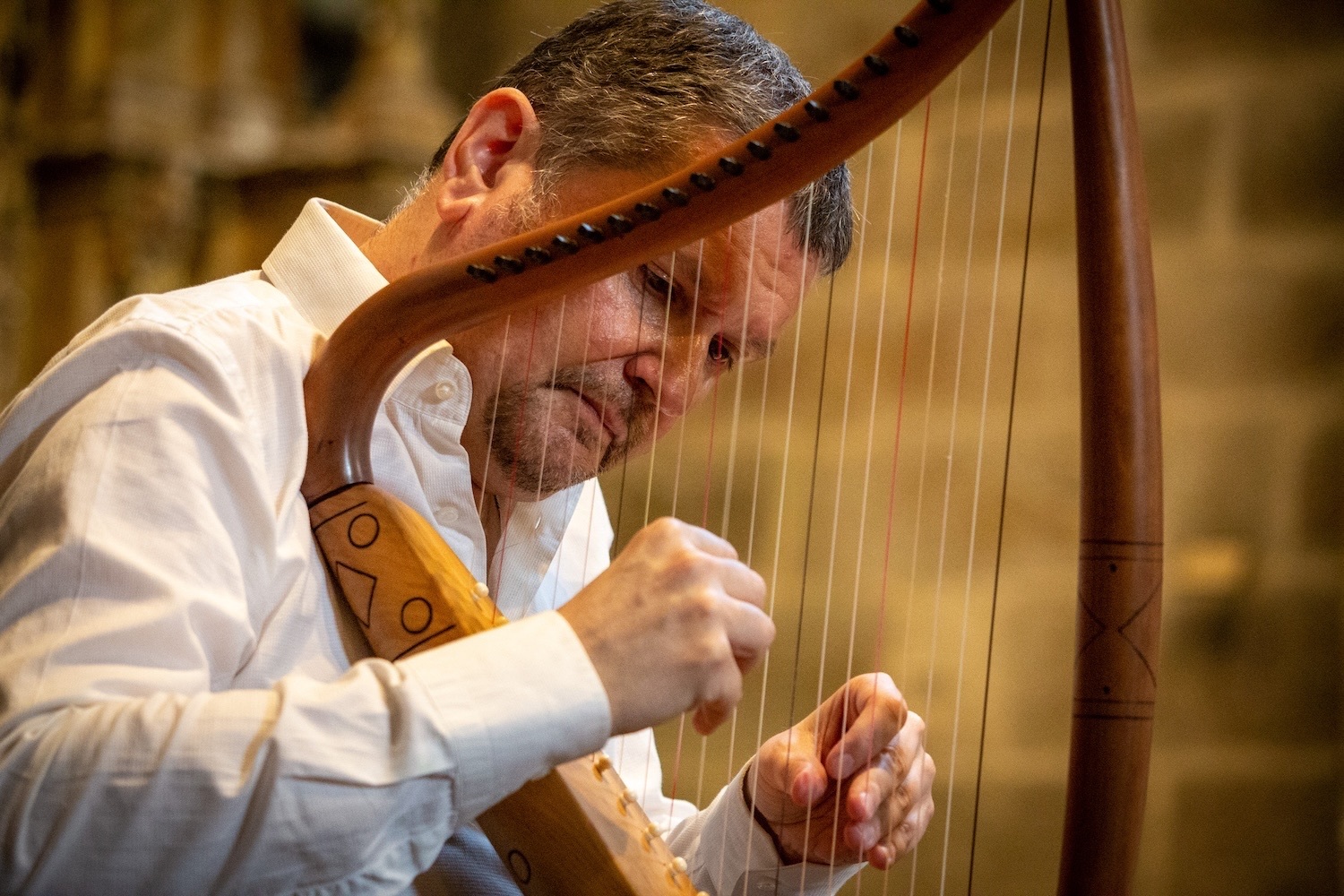 O arpista Manuel Vilas, unha das grandes referencias internacionais na interpretación de arpas históricas, actuará no Noia Harp Fest xunto á formación de música antiga Entrebescant.

Outras opcións: