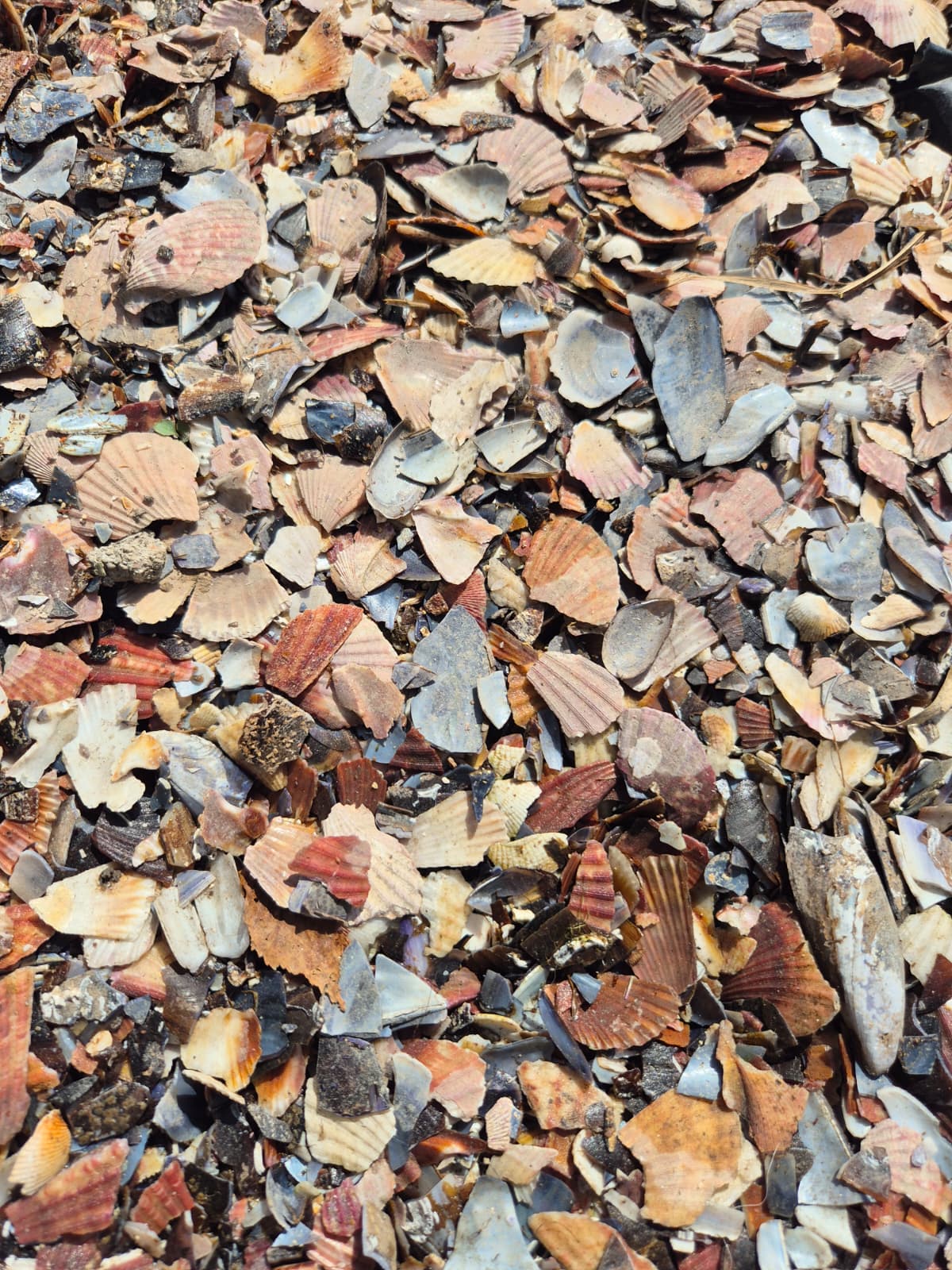 Agromulch foto detalle