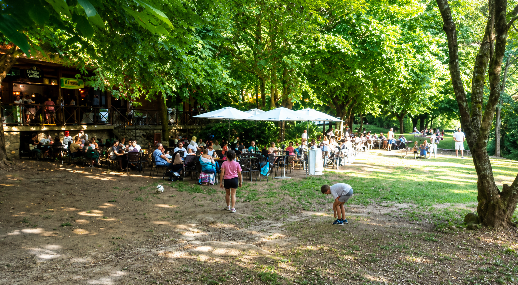 A área recreativa da praia fluvial da Freixa, á beira do río Tea, é un dos principais espazos de lecer de Ribadetea, onde veciñanza e visitantes desfrutan da natureza, da gastronomía e dun entorno privilexiado durante todo o ano, especialmente nos meses de verán.