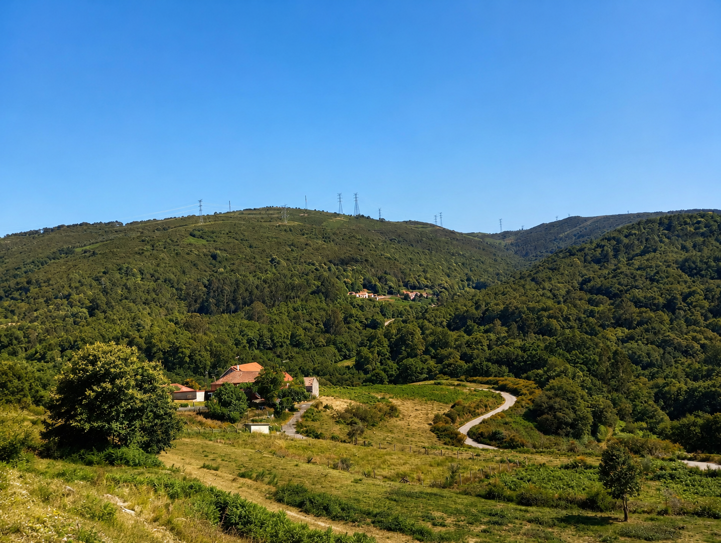 A Serra do Suído, un dos grandes espazos naturais do interior de Galicia, ofrece unha paisaxe de montes, vales e bosques que constitúe un dos principais tesouros ambientais da comarca da Paradanta e do sur da provincia de Pontevedra.