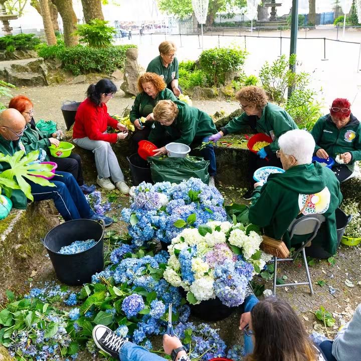 Desojando las flores para el Corpus.