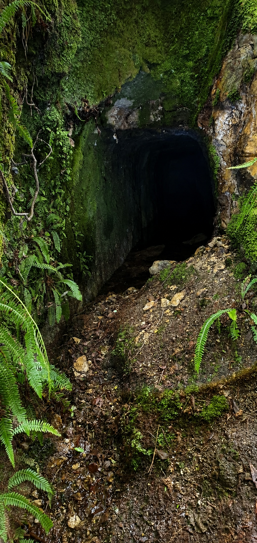Entrada de la mina de agua excavada en la roca del Coto de Aldir, una de las paradas previstas durante la ruta interpretativa previa al eclipse.