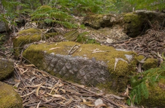 Restos de Santa Locaia entre la vegetación, testimonio material de un enclave cuyo recuerdo permaneció durante generaciones en la memoria oral de los vecinos.